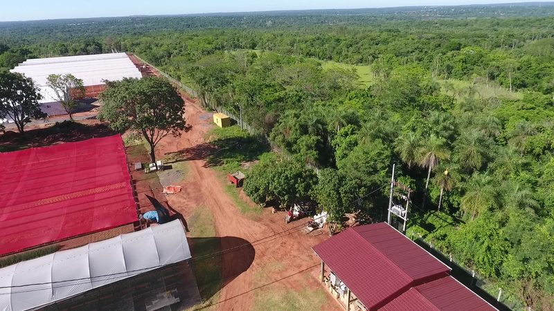 Greenhouse complex seen from a drone